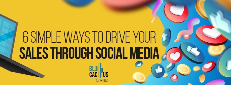 Using Social Media to Drive Sales in the Housewares Market