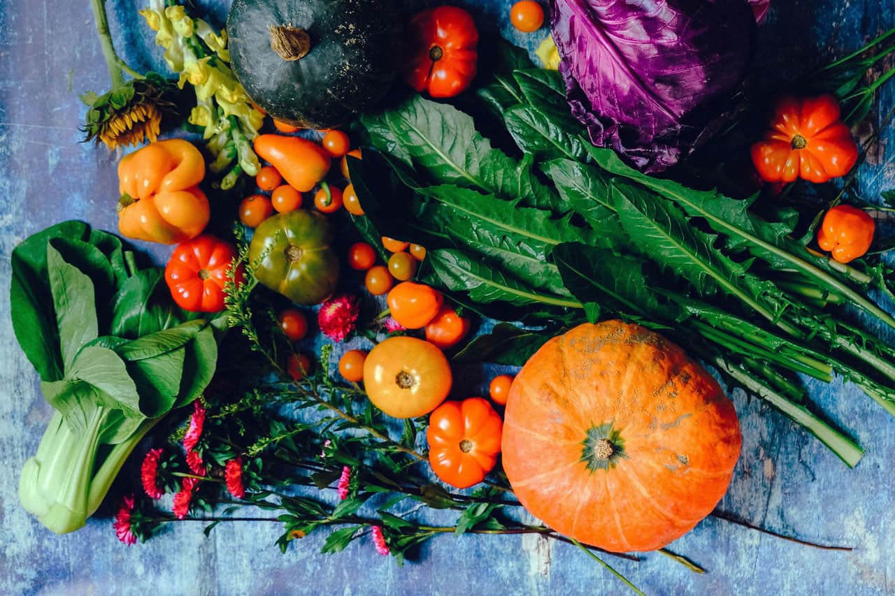 Selling Organic Health Products to Conscious Consumers